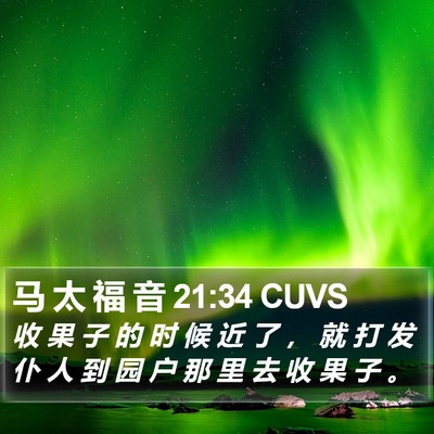 马 太 福 音 21:34 CUVS Bible Verse Image