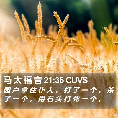 马 太 福 音 21:35 CUVS Bible Verse Image