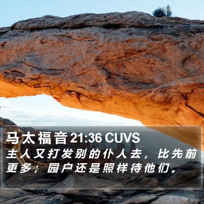 马 太 福 音 21:36 CUVS Bible Verse Image