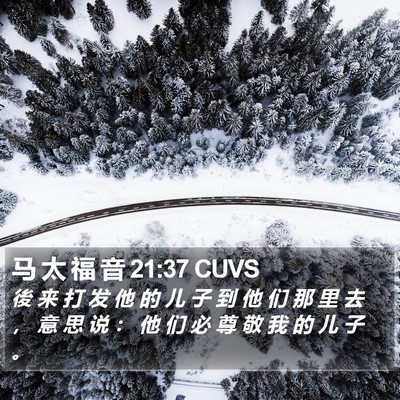 马 太 福 音 21:37 CUVS Bible Verse Image