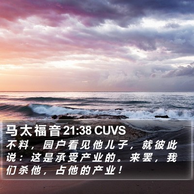 马 太 福 音 21:38 CUVS Bible Verse Image