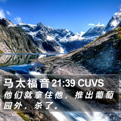 马 太 福 音 21:39 CUVS Bible Verse Image