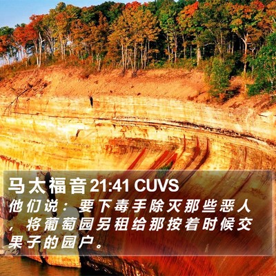 马 太 福 音 21:41 CUVS Bible Verse Image