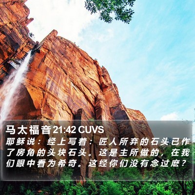 马 太 福 音 21:42 CUVS Bible Verse Image