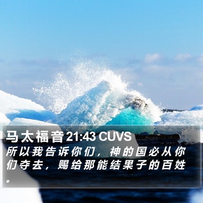 马 太 福 音 21:43 CUVS Bible Verse Image