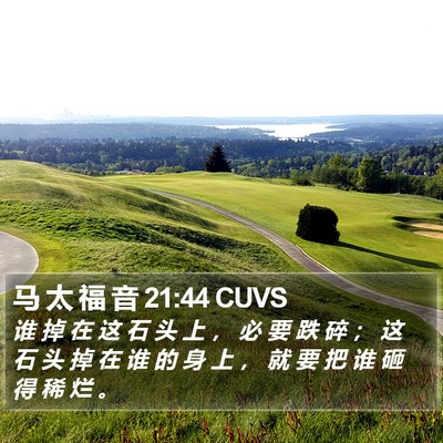 马 太 福 音 21:44 CUVS Bible Verse Image