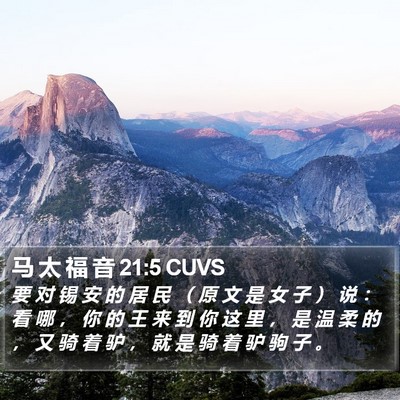 马 太 福 音 21:5 CUVS Bible Verse Image