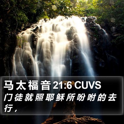 马 太 福 音 21:6 CUVS Bible Verse Image