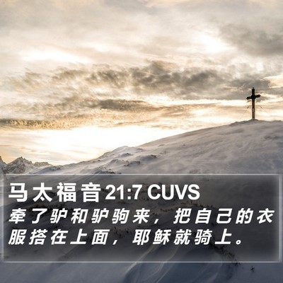 马 太 福 音 21:7 CUVS Bible Verse Image