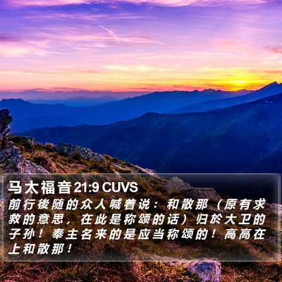 马 太 福 音 21:9 CUVS Bible Verse Image