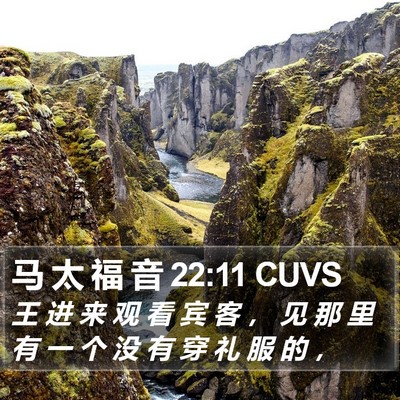 马 太 福 音 22:11 CUVS Bible Verse Image