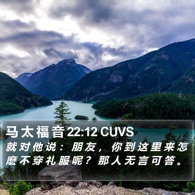 马 太 福 音 22:12 CUVS Bible Verse Image