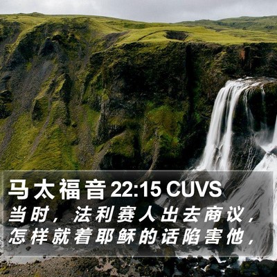 马 太 福 音 22:15 CUVS Bible Verse Image