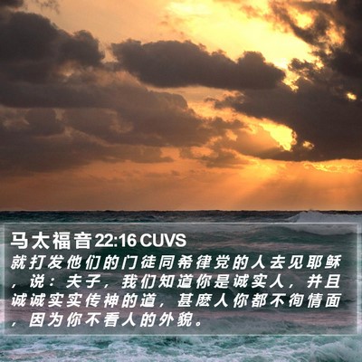 马 太 福 音 22:16 CUVS Bible Verse Image
