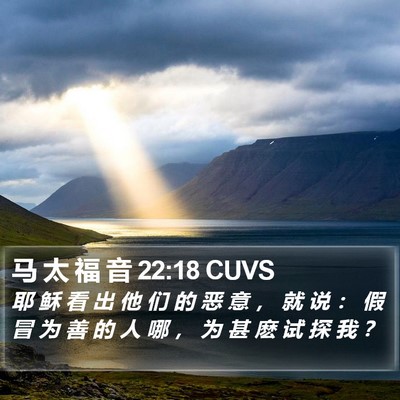 马 太 福 音 22:18 CUVS Bible Verse Image