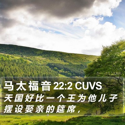 马 太 福 音 22:2 CUVS Bible Verse Image