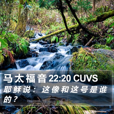 马 太 福 音 22:20 CUVS Bible Verse Image
