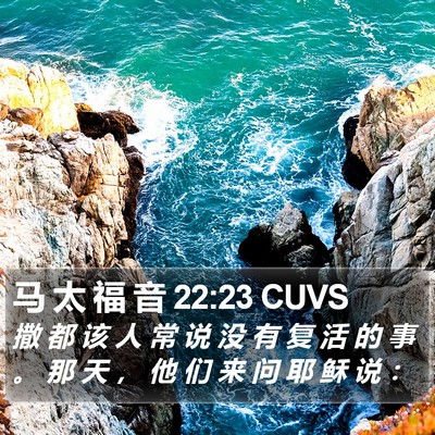 马 太 福 音 22:23 CUVS Bible Verse Image