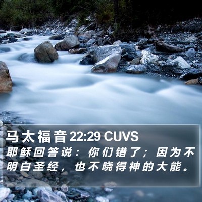 马 太 福 音 22:29 CUVS Bible Verse Image