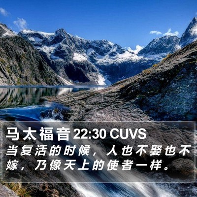 马 太 福 音 22:30 CUVS Bible Verse Image