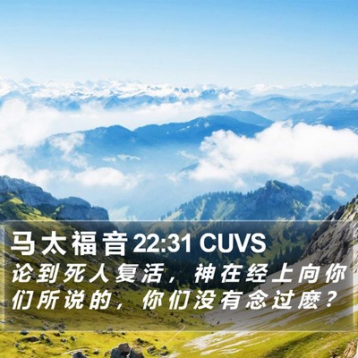 马 太 福 音 22:31 CUVS Bible Verse Image