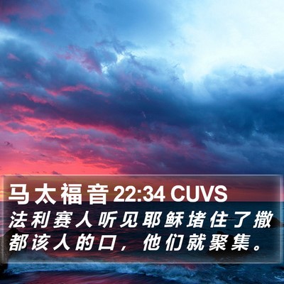 马 太 福 音 22:34 CUVS Bible Verse Image