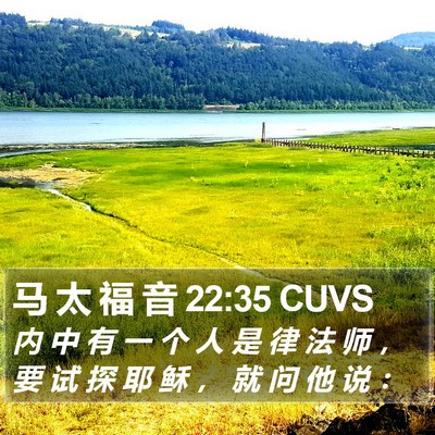 马 太 福 音 22:35 CUVS Bible Verse Image