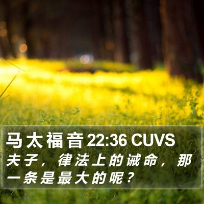 马 太 福 音 22:36 CUVS Bible Verse Image