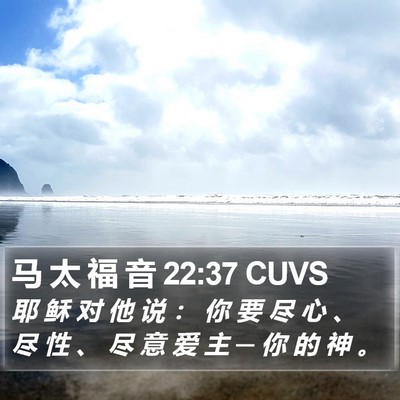 马 太 福 音 22:37 CUVS Bible Verse Image