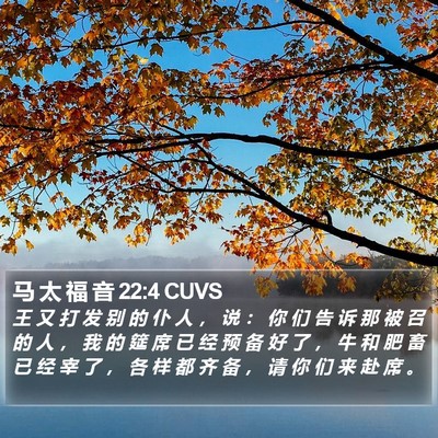 马 太 福 音 22:4 CUVS Bible Verse Image