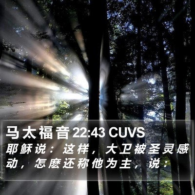 马 太 福 音 22:43 CUVS Bible Verse Image