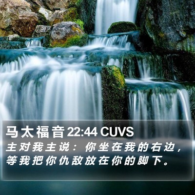 马 太 福 音 22:44 CUVS Bible Verse Image