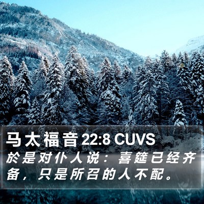 马 太 福 音 22:8 CUVS Bible Verse Image