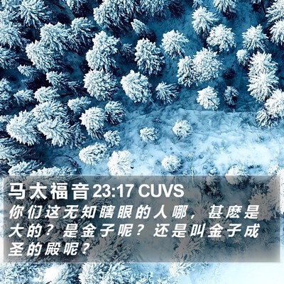马 太 福 音 23:17 CUVS Bible Verse Image