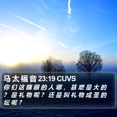 马 太 福 音 23:19 CUVS Bible Verse Image
