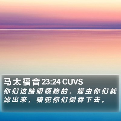 马 太 福 音 23:24 CUVS Bible Verse Image