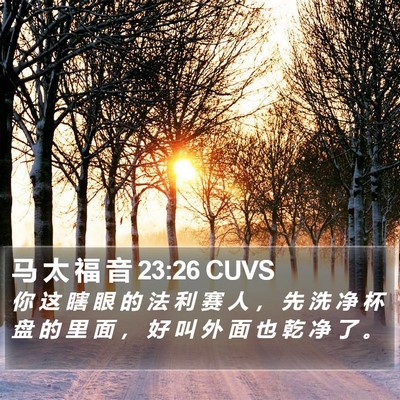 马 太 福 音 23:26 CUVS Bible Verse Image