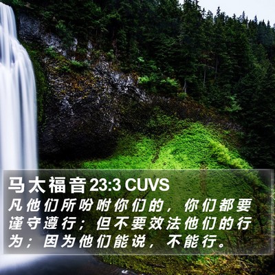 马 太 福 音 23:3 CUVS Bible Verse Image