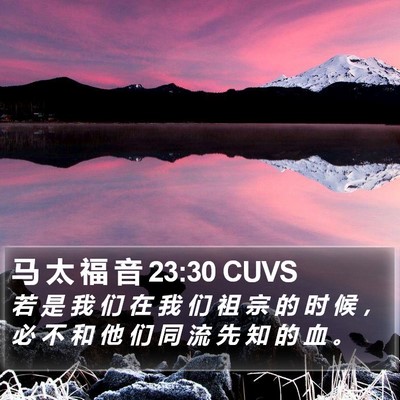 马 太 福 音 23:30 CUVS Bible Verse Image