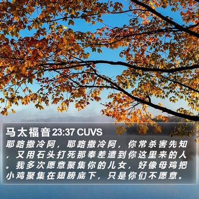 马 太 福 音 23:37 CUVS Bible Verse Image