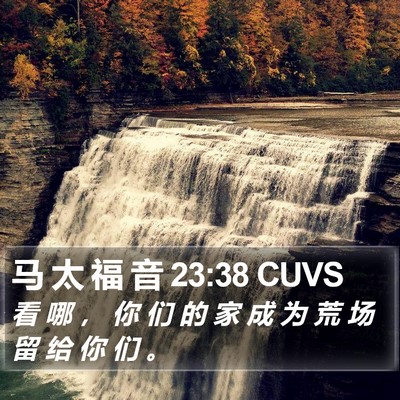 马 太 福 音 23:38 CUVS Bible Verse Image