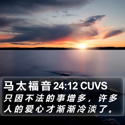 马 太 福 音 24:12 CUVS Bible Verse Image