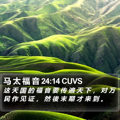 马 太 福 音 24:14 CUVS Bible Verse Image