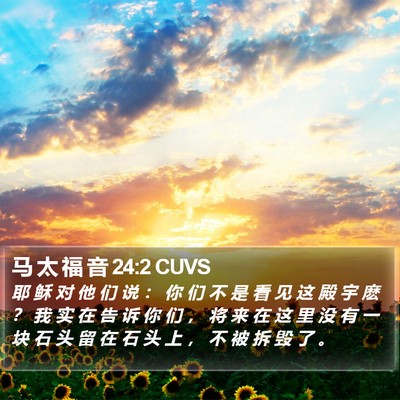 马 太 福 音 24:2 CUVS Bible Verse Image