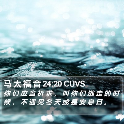 马 太 福 音 24:20 CUVS Bible Verse Image