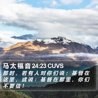 马 太 福 音 24:23 CUVS Bible Verse Image