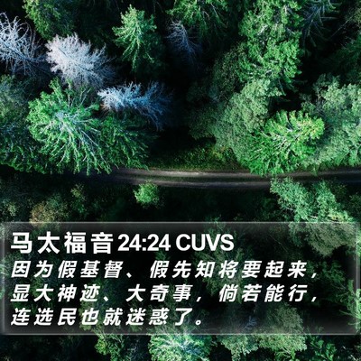 马 太 福 音 24:24 CUVS Bible Verse Image