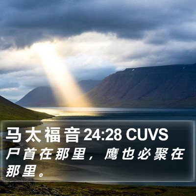 马 太 福 音 24:28 CUVS Bible Verse Image