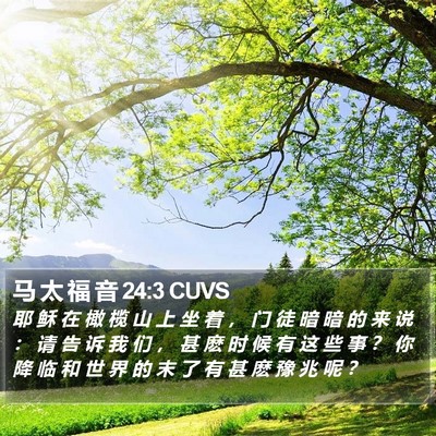 马 太 福 音 24:3 CUVS Bible Verse Image