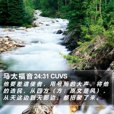 马 太 福 音 24:31 CUVS Bible Verse Image